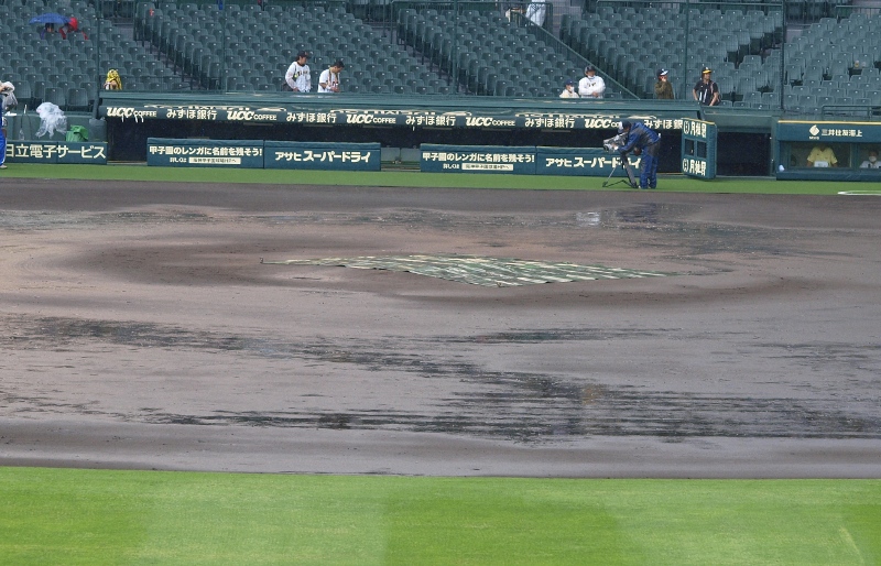 Wonderful day for baseball