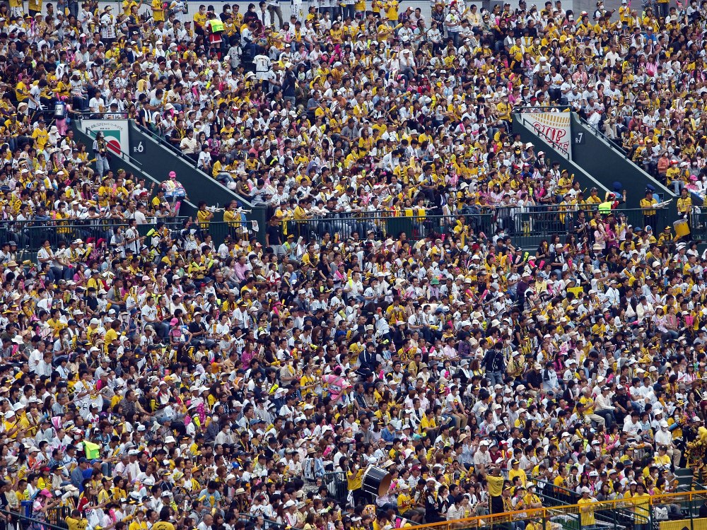 Tigers fans didn't offically cheer anything